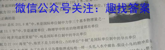 ［湖南大联考］湖南省2025届高二年级上学期11月联考物理`