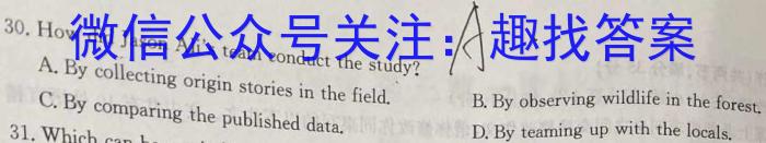 陕西省2023~2024学年度九年级第一学期阶段调研检测(R)英语试卷答案