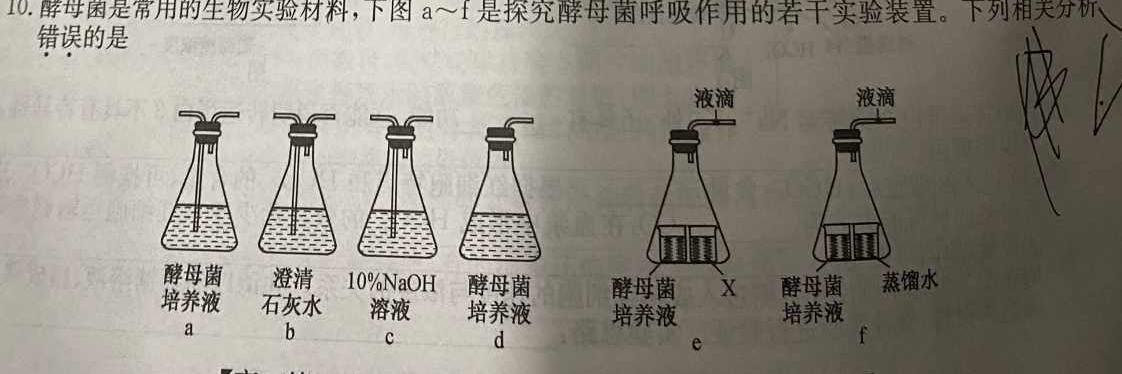 陕西省2023~2024学年度安康市高三年级第一次质量联考(三个黑三角)生物