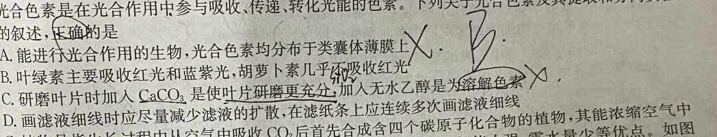 2024年普通高等学校统一模拟招生考试新未来10月联考（高二）生物