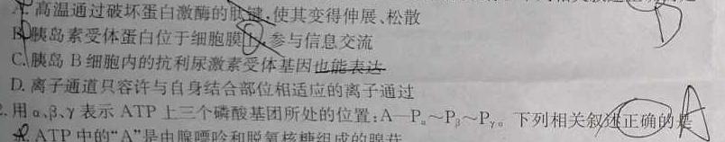 河北省2023-2024学年度第一学期高三年级11月份月考(243285Z)生物