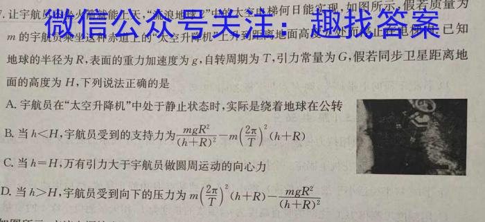 广东省2023-2024学年度高二年级11月联考q物理