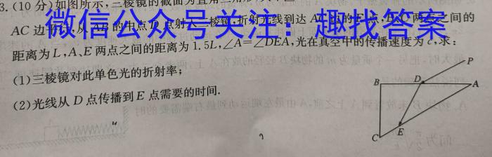 河北省石家庄赵县2023-2024学年度九年级第一学期完美测评②l物理