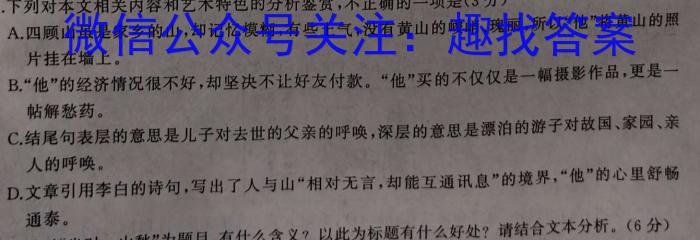 江西省2024届九年级初中目标考点测评（十三）/语文