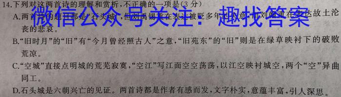  2023-2024学年安徽省八年级上学期阶段性练习（二）语文