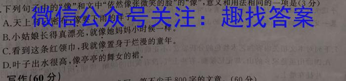 陕西省2023-2024学年度第一学期八年级期中质量调研（W）/语文