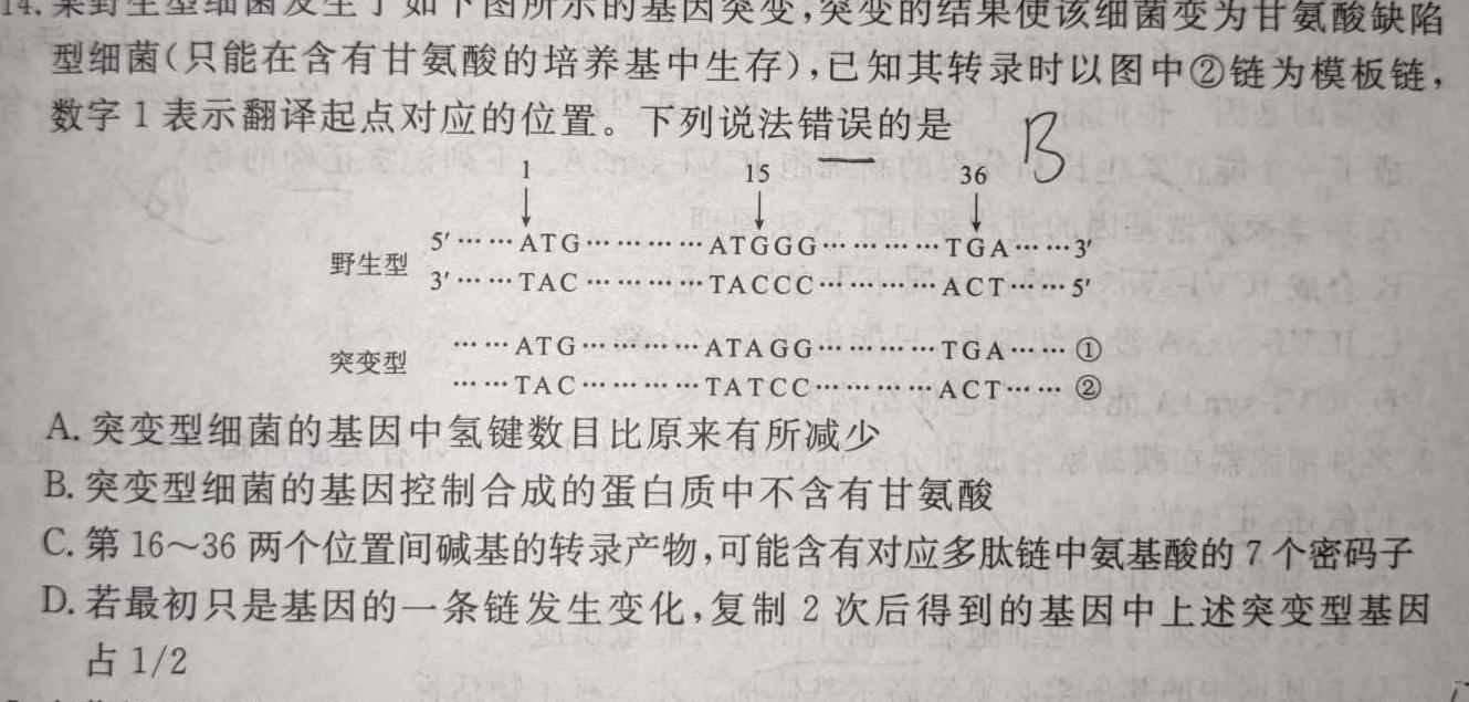 安徽省2023-2024学年度八年级上学期第三次月考生物学部分