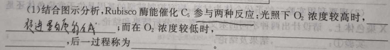 高考快递 2024年普通高等学校招生全国统一考试·信息卷(六)6新高考版生物学部分