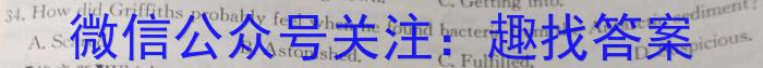 2024届衡水金卷先享题调研卷(JJ·B)(一)英语