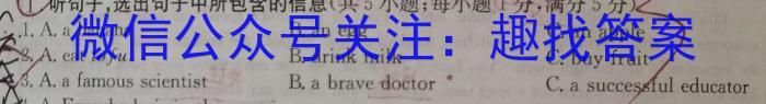 安徽省2023-2024学年度九年级秋学期第三次质量检测英语