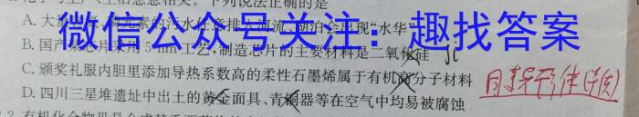 [今日更新][佩佩教育]2024年普通高校统一招生考试 湖南四大名校名师团队猜题卷（A）地理h