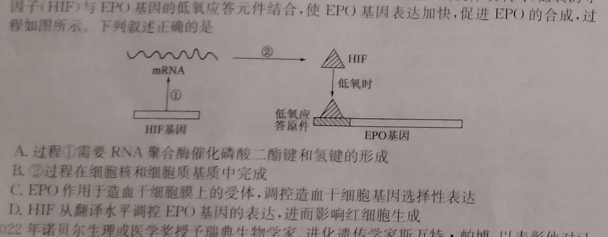 广东省2024年4月高一阶段性联合质量检测卷生物学部分