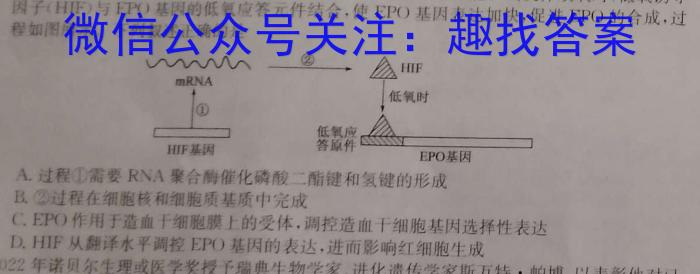 2023-2024学年陕西省高一期末质量监测考试(24-225A)生物学试题答案