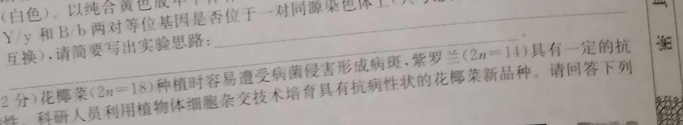 河北省邢台一中2024-2025学年第一学期高二开学考试生物