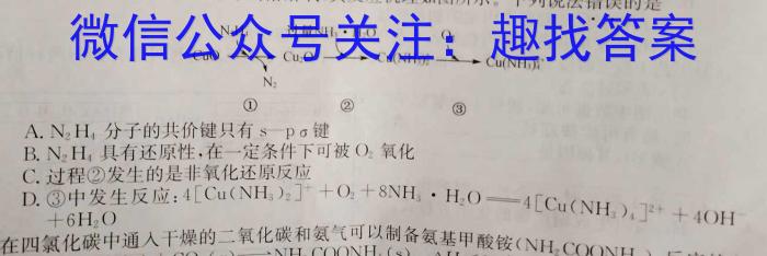 q安徽省淮北市2024届高三第一次质量检测化学