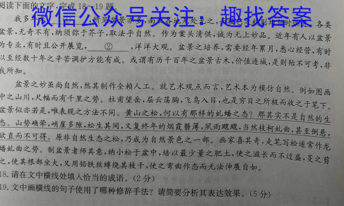 安徽省六安二中河西校区2023级高一年级第二学期期末考试语文