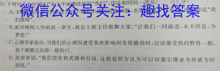 江西省宜昌市高安市2023-2024学年度九年级下学期期中质量监测语文