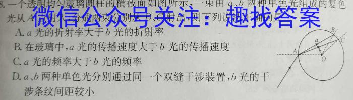 2024届新高考单科模拟检测卷(四)4物理试卷答案