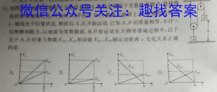 四川省成都市蓉城高中联盟2025届高二上学期期末考试物理试卷答案