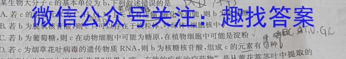 四川省2023-2024学年度上期高二年级高中2022级期末联考生物学试题答案