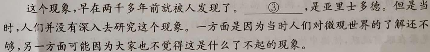 文博志鸿2024年河南省普通高中招生考试模拟试卷（经典二）语文