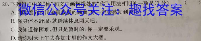 河北省2023-2024高三省级联测考试·冲刺卷Ⅱ（五）/语文