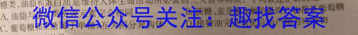 3江西省2023-2024学年度八年级阶段性练习（三）化学试题