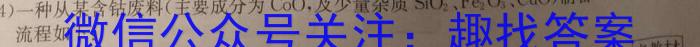 j2023-2024上学期衡水金卷先享题月考卷高三六调(新教材)化学试卷答案