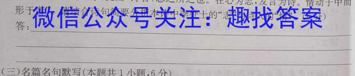 安徽省2024年的九年级下学期期中考试语文