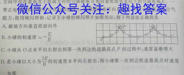 吉林省敦化市实验中学校2023~2024学年度第一学期高三教学质量阶段检测考试(24353C)物理`