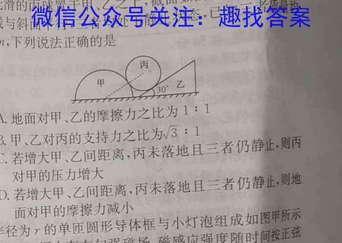 衡水金卷2024版先享卷答案调研卷 新高考卷二物理试卷答案