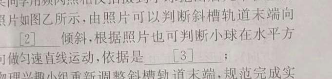 河南省2025届八年级第一学期学习评价（3）物理试题.