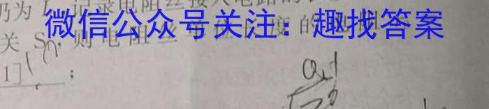 安徽省2023-2024学年度第二学期八年级素养评估问卷一物理