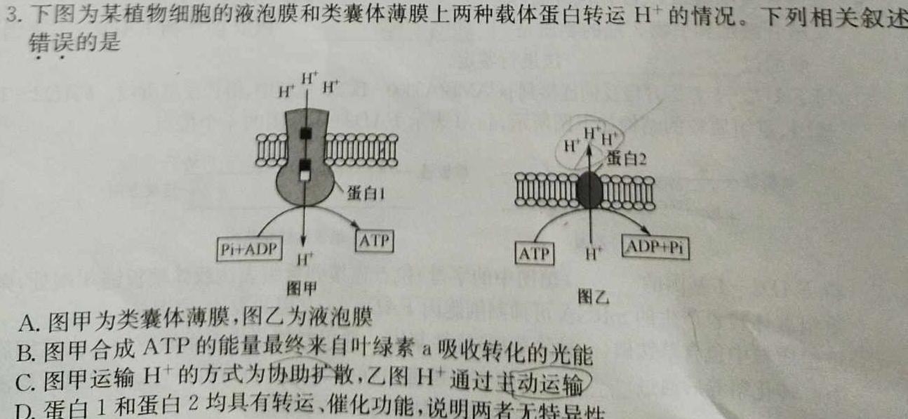 2023-2024八年级(下)榆林市义务教育初中阶段教育教学质量检测生物