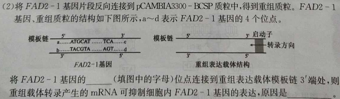 神州智达 2023-2024高一省级联测考试·下学期期末考试生物学部分