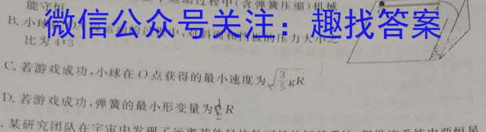 [黔南州中考]黔南州2024年初中学业水平考试试题卷文科综合试题物理试题答案