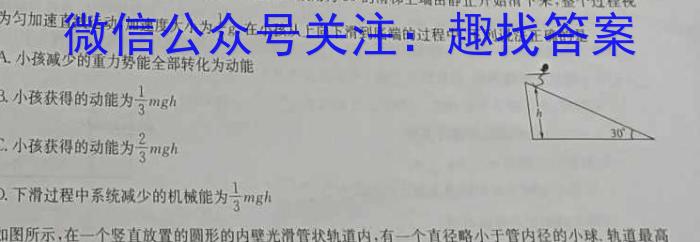 上进联考 2024年5月江西省高二年级统一调研测试物理试卷答案