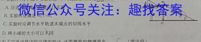 漯河市高级中学2024-2025学年高三上学期8月试题物理试卷答案