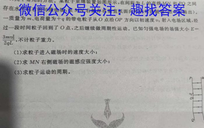 山东省潍坊市2024-2025学年高三开学调研检测考试物理试题答案