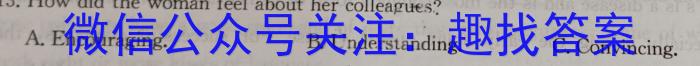 陕西省2024届九年级阶段调研检测A英语