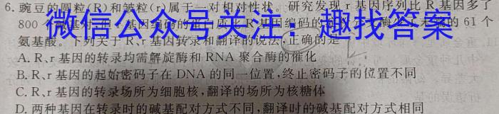 衡水金卷先享题调研卷2024答案(安徽专版)二数学