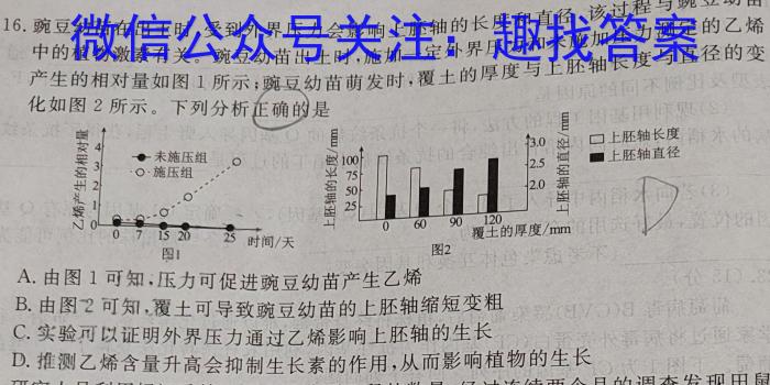 2024年河南中招信息梳理试卷(三)数学