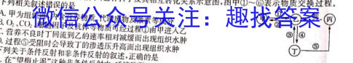 2024届福建省南平市高三毕业班第三次质量检测英语