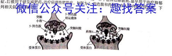 河南省2024年九年级抽测试卷数学