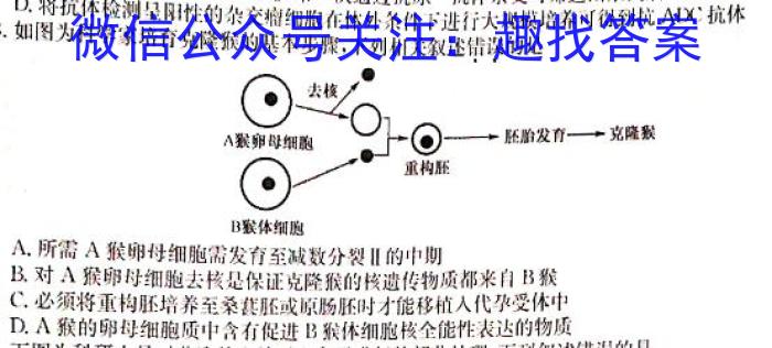 2024年普通高中考试信息模拟卷(四)生物学试题答案