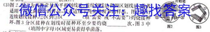 琢名小渔·河北省2025届高三年级开学调研检测（一）生物学试题答案