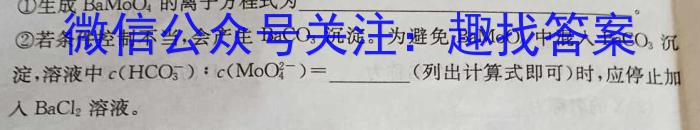 2024届长郡中学高考适应性考试(四)化学