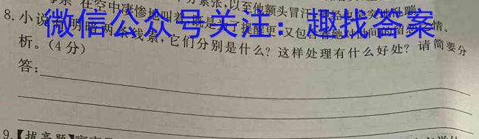 中考必刷卷·2024-2025学年安徽省九年级上学期开学摸底调研语文