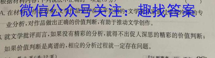 2024年河南省普通高中招生考试模拟卷（一）语文