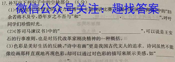 贵州省毕节市织金县2023-2024学年度第二学期八年级学业水平检测语文